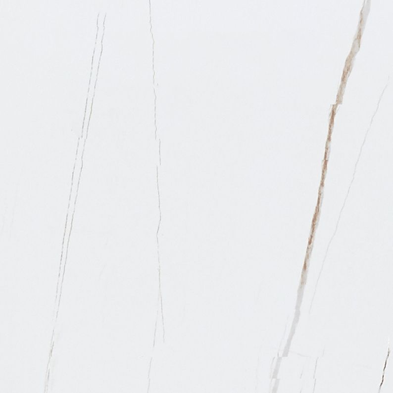 Traditional Luxury White in Marble Counter Rectangle Dining Table for Kitchen Clearhalo 'Dining Tables & Seating' 'Dining Tables' 'dining_table' 'furn' 'furn_dining_table' 'Furniture' 'Kitchen & Dining Furniture' 1200x1200_b2e02076-f8d3-417a-9f35-249fc08bb4fe