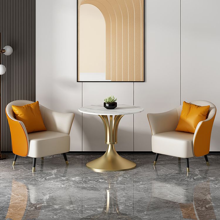 Sintered Stone Dining Table Luxury Style Single Pedestal Base Table for Dining Room Clearhalo ' dining_table' 'Dining Tables & Seating' 'Dining Tables' 'furn' 'furn_dining_table' 'Furniture' 'furniture_dining_table' 'Kitchen & Dining Furniture' 'kitchen&dining_furn' 'kitchen' 'kitchen_dining_table' 1200x1200_b2f4dcfa-e469-469e-8f63-ca51b9064bf8