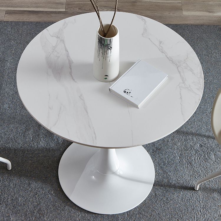 Round Sintered Stone White Dining Table Minimalist Tulip Base Table for Dining Room Clearhalo ' dining_table' 'Dining Tables & Seating' 'Dining Tables' 'furn' 'furn_dining_table' 'Furniture' 'furniture_dining_table' 'Kitchen & Dining Furniture' 'kitchen&dining_furn' 'kitchen' 'kitchen_dining_table' 1200x1200_b314de16-a5b9-4fe2-a70b-7bd800115978