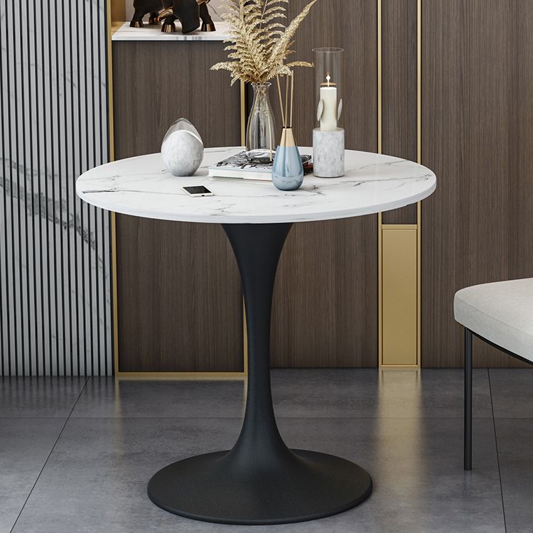 Round Stone Dining Table Simplicity Dining Room Collection with Tulip Base Clearhalo ' dining_table' 'Dining Tables & Seating' 'Dining Tables' 'furn' 'furn_dining_table' 'Furniture' 'furniture_dining_table' 'Kitchen & Dining Furniture' 'kitchen&dining_furn' 'kitchen' 'kitchen_dining_table' 1200x1200_b3245641-423d-4b52-9ebc-fc74085d3d38
