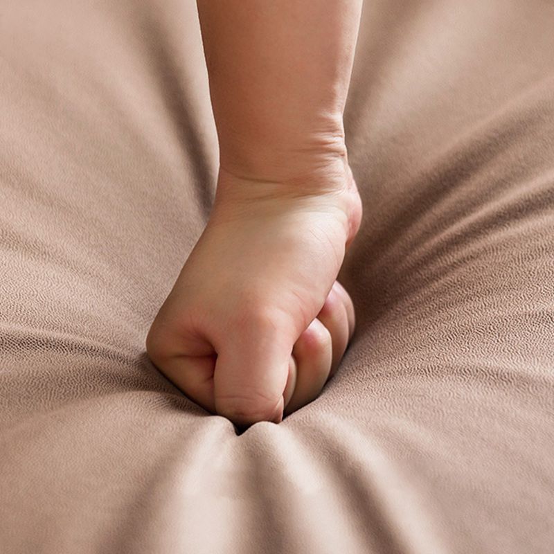 2-seater Bonus Room Square Arm Standard Cushions Modern Seating Clearhalo 'Furniture' 'furniture_sofas' 'kitchen' 'kitchen_sofas' 'Living Room Furniture' 'Sofa' 'sofas' 1200x1200_b32dc80a-c268-4aea-8f4c-9ffc0b9cb9fc