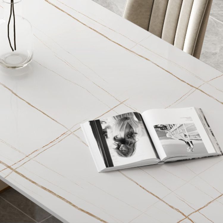 Modern Oval Dining Table Sintered Stone Dining Table with Off White Double Pedestal Clearhalo ' dining_table' 'Dining Tables & Seating' 'Dining Tables' 'furn' 'furn_dining_table' 'Furniture' 'furniture_dining_table' 'Kitchen & Dining Furniture' 'kitchen&dining_furn' 'kitchen' 'kitchen_dining_table' 1200x1200_b3430c8b-af5c-4ea9-adab-666e703ba1a2