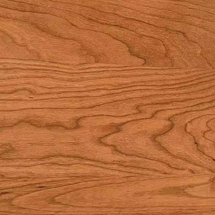 Mid-century Modern 5- Drawer Chest Rectangle Wooden Accent Chest Clearhalo 'Cabinets & Chests' 'cabinets_chests' 'furn' 'furn_cabinets_chests' 'Furniture' 'Living Room Furniture' 1200x1200_b36b33e8-0489-478b-809f-3ebc3689902d