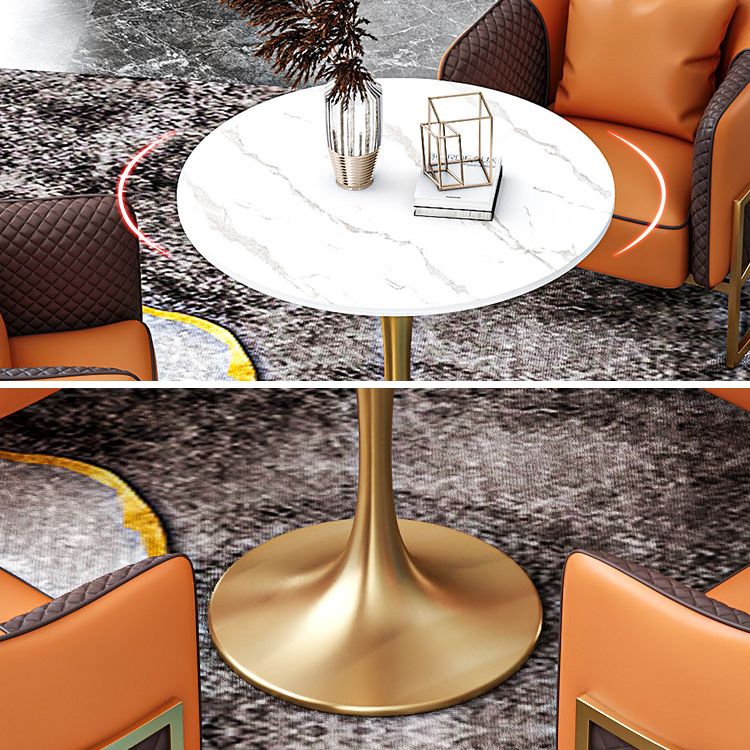 Sintered Stone Modern Style Dining Table Round White Table with Tulip Base Clearhalo ' dining_table' 'Dining Tables & Seating' 'Dining Tables' 'furn' 'furn_dining_table' 'Furniture' 'furniture_dining_table' 'Kitchen & Dining Furniture' 'kitchen&dining_furn' 'kitchen' 'kitchen_dining_table' 1200x1200_b3c2ec68-8c0f-43d9-9db3-c5a07cd55d8e