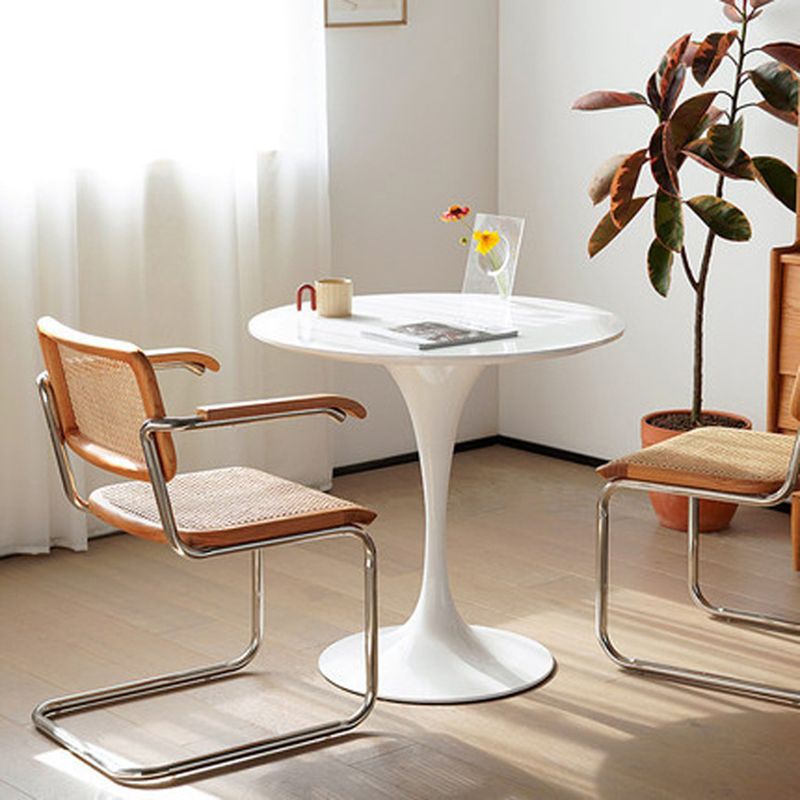 Contemporary Top Dining Table Round Dining Table with Pedestal Base Clearhalo 'Dining Tables & Seating' 'Dining Tables' 'dining_table' 'furn' 'furn_dining_table' 'Furniture' 'furniture_dining_table' 'Kitchen & Dining Furniture' 'kitchen' 'kitchen_dining_table' 1200x1200_b3c7e887-0eec-4c6e-9ea4-5385b5956a85