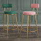 Glam Velvet Restaurant Counter Stool Matte Finish Footrest Barstool Clearhalo 'Bar Furniture' 'Bar Stools' 'bar_stools' 'furn' 'furn_bar_stools' 'Furniture' 'furniture_bar_stools' 'Kitchen & Dining Furniture' 1200x1200_b3d0a809-c9a7-457d-b700-6711e820fe28