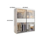 Contemporary Style Wardrobe Glass 2-Door Wardrobe Closet with Shelves