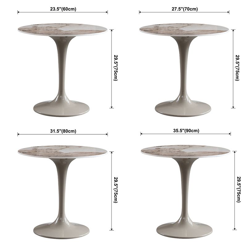 Round Contemporary Dining Table Brown Tone Fixed Table of Sintered Stone Clearhalo ' dining_table' 'Dining Tables & Seating' 'Dining Tables' 'furn' 'furn_dining_table' 'Furniture' 'furniture_dining_table' 'Kitchen & Dining Furniture' 'kitchen&dining_furn' 'kitchen' 'kitchen_dining_table' 1200x1200_b43db1e2-294c-462c-a241-bc43d3ad782d