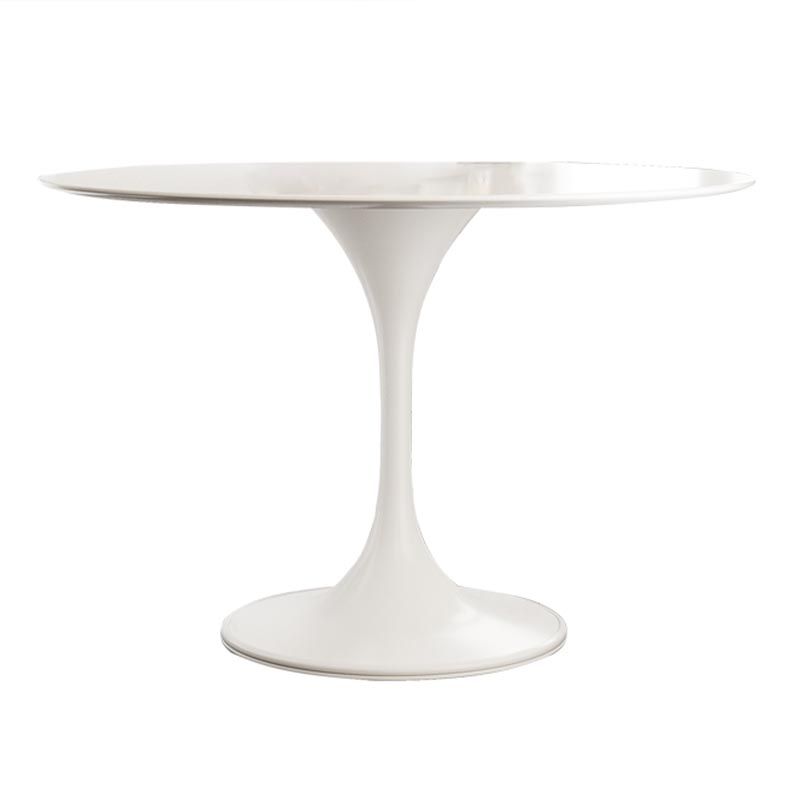 White Modern Round Dining Table Sintered Stone Top Tulip Base Table Clearhalo 'Dining Tables & Seating' 'Dining Tables' 'dining_table' 'furn' 'furn_dining_table' 'Furniture' 'Kitchen & Dining Furniture' 1200x1200_b45f325a-21c4-4892-bf7f-9a2a0bf1e836