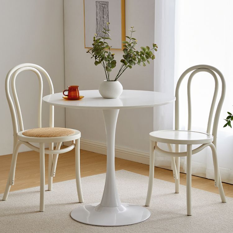 Contemporary Style Beech Wood Chair Windsor Back Side Kitchen Chairs Set Clearhalo ' kitchen&dining_furn' 'Dining Chairs' 'Dining Tables & Seating' 'dining_chair' 'furn' 'furn_dining_chair' 'Furniture' 'furniture_dining_chair' 'Kitchen & Dining Furniture' 'kitchen' 1200x1200_b4ae009b-63d0-44b8-a852-6769f59411a1