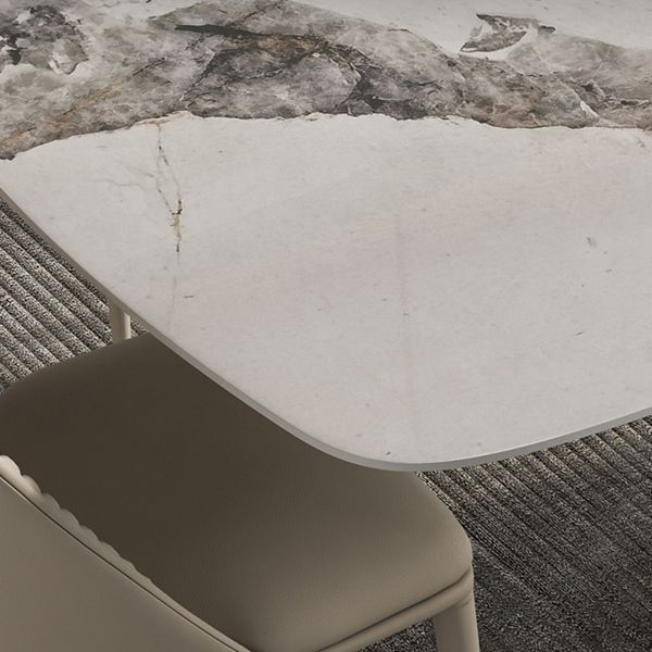 Sintered Stone Top Dining Table Rectangle Table in White with Metal Pedestal Base Clearhalo ' dining_table' 'Dining Tables & Seating' 'Dining Tables' 'furn' 'furn_dining_table' 'Furniture' 'furniture_dining_table' 'Kitchen & Dining Furniture' 'kitchen&dining_furn' 'kitchen' 'kitchen_dining_table' 1200x1200_b4b5deaf-1843-499f-9a3c-1f953696986d