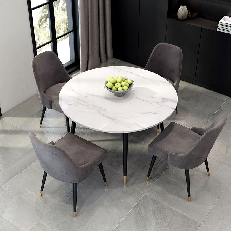 Round Shape Modern Dining Table White Tone Fixed Table with Sintered Stone Clearhalo ' dining_table' 'Dining Tables & Seating' 'Dining Tables' 'furn' 'furn_dining_table' 'Furniture' 'furniture_dining_table' 'Kitchen & Dining Furniture' 'kitchen&dining_furn' 'kitchen' 'kitchen_dining_table' 1200x1200_b4d5f38b-71c0-48ea-93a2-f5ce937e6a79
