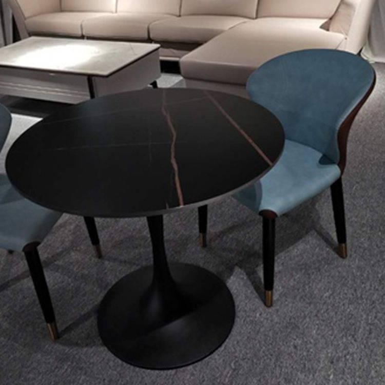 Contemporary Style Sintered Stone Dining Table Metallic Tulip Base Round Table for Home Clearhalo ' dining_table' 'Dining Tables & Seating' 'Dining Tables' 'furn' 'furn_dining_table' 'Furniture' 'furniture_dining_table' 'Kitchen & Dining Furniture' 'kitchen&dining_furn' 'kitchen' 'kitchen_dining_table' 1200x1200_b52113a6-4a0c-4cba-88ff-362fe05d410c