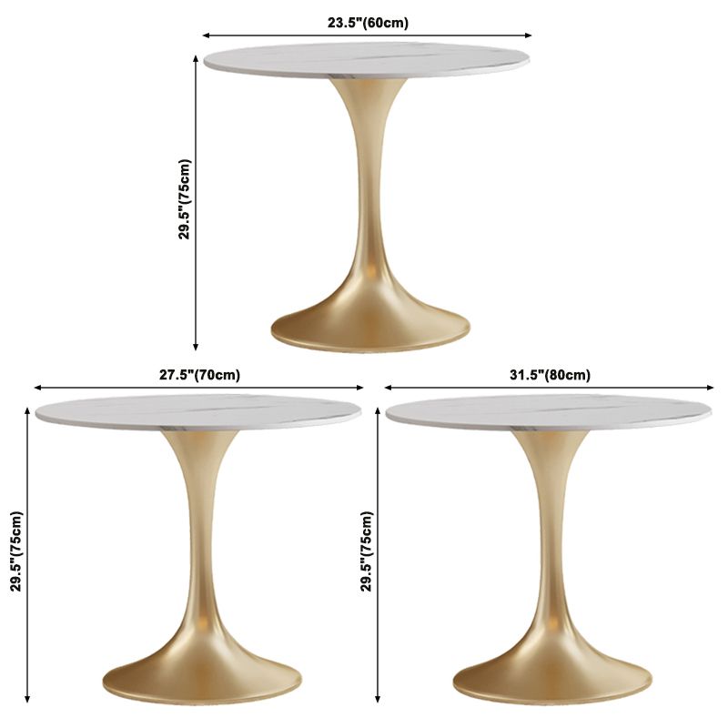 Round Tulip Base Glam Dining Table White Fixed Table of Sintered Stone Clearhalo ' dining_table' 'Dining Tables & Seating' 'Dining Tables' 'furn' 'furn_dining_table' 'Furniture' 'furniture_dining_table' 'Kitchen & Dining Furniture' 'kitchen&dining_furn' 'kitchen' 'kitchen_dining_table' 1200x1200_b55bca07-dc65-42dc-8e0f-2784d93ef9a0