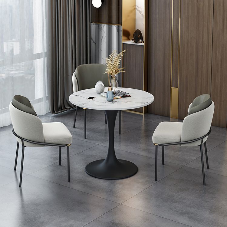 Contemporary Stone Dining Set 1/4/5 Pieces Round Dining Table Set with Padded Chairs Clearhalo 'Dining Room Sets' 'Dining Tables & Seating' 'dining_room_set' 'furn' 'furn_dining_room_set' 'Furniture' 'Kitchen & Dining Furniture' 1200x1200_b579bd5b-61e1-4415-8800-f50814f40488