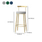Glam Style Backrest Counter Stool Iron Cafe Bar Stool with Velvet Cushion and Pedal Clearhalo 'Bar Furniture' 'Bar Stools' 'bar_stools' 'furn' 'furn_bar_stools' 'Furniture' 'furniture_bar_stools' 'Kitchen & Dining Furniture' 1200x1200_b5aefae2-00db-442d-8c18-50088f520537