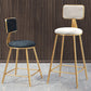 Glam Round Counter Bar Stool Upholstered Backrest Bar Stool with Footrest Clearhalo 'Bar Furniture' 'Bar Stools' 'bar_stools' 'furn' 'furn_bar_stools' 'furniture_bar_stools' 'Kitchen & Dining Furniture' 'kitchen&dining_furn' 'kitchen' 'kitchen_furn' Furniture' 1200x1200_b635c618-2de6-4748-ae0f-80f96108d42e