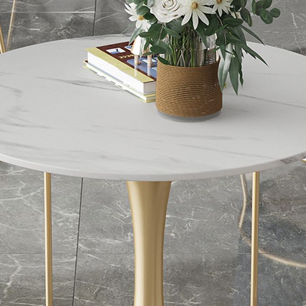 Glam Round Sintered Stone Dining Table Set 1/2/3/4/5 Pieces Dining Set for Home Use Clearhalo 'Dining Room Sets' 'Dining Tables & Seating' 'dining_room_set' 'furn' 'furn_dining_room_set' 'Furniture' 'Kitchen & Dining Furniture' 1200x1200_b64146ec-a686-4a54-87da-25c7c86c8b7f