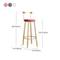 Glam Round Counter Bar Stool Backrest Bar Stool Iron Base with Footrest Clearhalo 'Bar Furniture' 'Bar Stools' 'bar_stools' 'furn' 'furn_bar_stools' 'furniture_bar_stools' 'Kitchen & Dining Furniture' 'kitchen&dining_furn' 'kitchen' 'kitchen_furn' Furniture' 1200x1200_b6a32fdd-9701-405a-af22-2d7967505722
