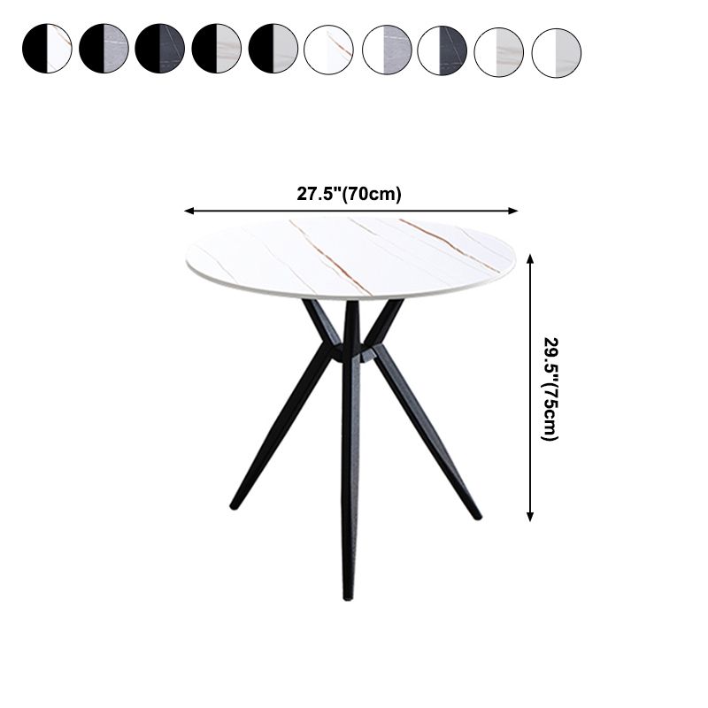 Modern Style Round Dining Table Sintered Stone Table with Metal Base for Home Use Clearhalo ' dining_table' 'Dining Tables & Seating' 'Dining Tables' 'furn' 'furn_dining_table' 'Furniture' 'furniture_dining_table' 'Kitchen & Dining Furniture' 'kitchen&dining_furn' 'kitchen' 'kitchen_dining_table' 1200x1200_b6e32aff-d662-4228-9eb9-c0515f252079