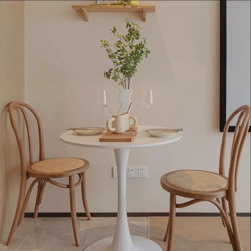 Glam Style Side Chair Solid Wood Home Windsor Back Dining Chair Clearhalo 'Dining Chairs' 'Dining Tables & Seating' 'dining_chair' 'furn' 'furn_dining_chair' 'Furniture' 'furniture_dining_chair' 'Kitchen & Dining Furniture' 1200x1200_b73663eb-7ff5-4584-90c0-e13bea441288