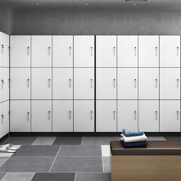 Armoire de rangement de porte à charnière en bois d'ingénierie armoire contemporaine pour salle de bain