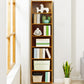 Modern Style Bookshelf Standard Closed Back Wooden Bookcase for Home