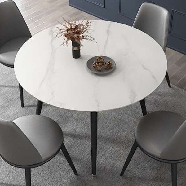 Contemporary Style 4-foot Dining Table Stone Home Furniture with Metal Leg Clearhalo ' dining_table' 'Dining Tables & Seating' 'Dining Tables' 'furn' 'furn_dining_table' 'Furniture' 'furniture_dining_table' 'Kitchen & Dining Furniture' 'kitchen&dining_furn' 'kitchen' 'kitchen_dining_table' 1200x1200_b7fc5c95-ffdf-4e62-b374-95c8c7ea0751
