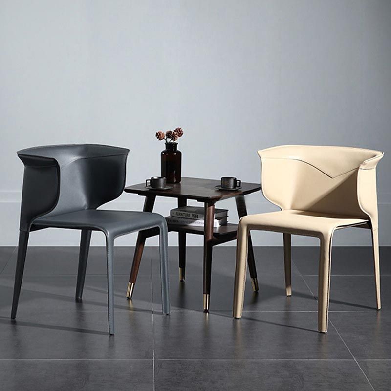 Metal Contemporary Indoor Chair with Leather Legs Matte Finish Side Chair for Dining Room Clearhalo 'Dining Chairs' 'Dining Tables & Seating' 'dining_chair' 'furn' 'furn_dining_chair' 'Furniture' 'furniture_dining_chair' 'Kitchen & Dining Furniture' 1200x1200_b8316b2c-0af4-42b6-8087-800d9aa27aec