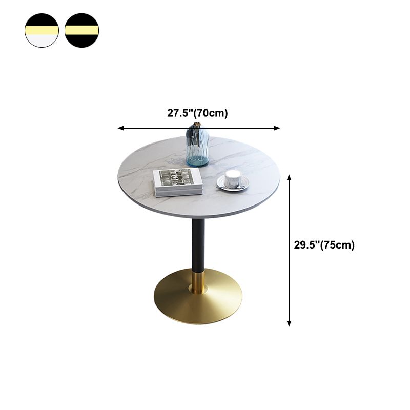Metal Traditional Luxury Round Dining Table for Home Sintered Stone Table with Pedestal Clearhalo 'Dining Tables & Seating' 'Dining Tables' 'dining_table' 'furn' 'furn_dining_table' 'Furniture' 'Kitchen & Dining Furniture' 1200x1200_b86ae85e-89fa-4b02-b734-93fa5cf0e5c1