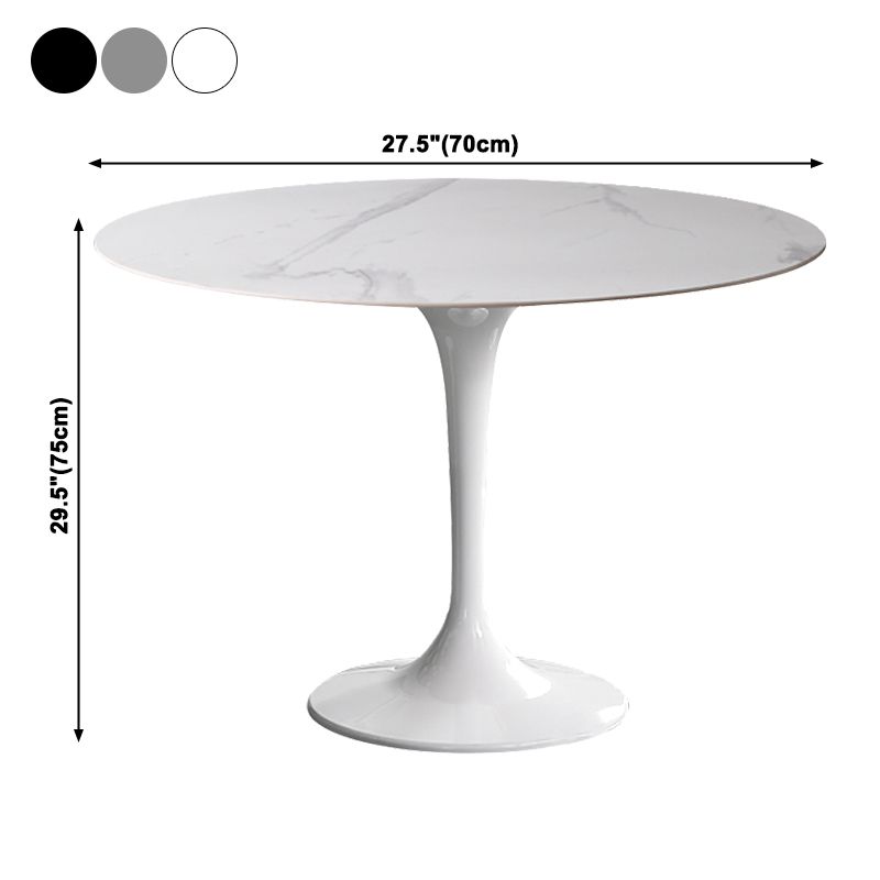 Simplicity Round Dining Table Sintered Stone Table with Tulip Base for Dining Room Clearhalo ' dining_table' 'Dining Tables & Seating' 'Dining Tables' 'furn' 'furn_dining_table' 'Furniture' 'furniture_dining_table' 'Kitchen & Dining Furniture' 'kitchen&dining_furn' 'kitchen' 'kitchen_dining_table' 1200x1200_b8916354-18bd-4433-8944-067b525b48b6