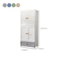 Bedroom Plastic Cabinet with Hinged Doors Matte Finish Modern Storage Cabinet