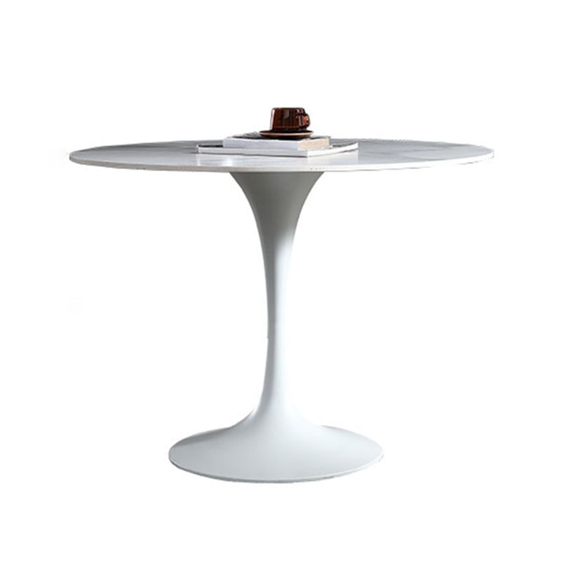 Stone Top Dining Table Modern Round Dining Table with Pedestal Base Clearhalo 'Dining Tables & Seating' 'Dining Tables' 'dining_table' 'furn' 'furn_dining_table' 'Furniture' 'furniture_dining_table' 'Kitchen & Dining Furniture' 'kitchen' 'kitchen_dining_table' 1200x1200_b90c0e9e-89b3-4f76-a9c4-90ce7522b79d