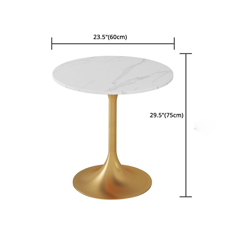 1/2/4/5 Pcs Metal Glam Dining Room Set with Round Table and Metal Base Dining Set Clearhalo 'Dining Room Sets' 'Dining Tables & Seating' 'dining_room_set' 'furn' 'furn_dining_room_set' 'Furniture' 'furniture_dining_room_set' 'Kitchen & Dining Furniture' 'kitchen&dining_furn' 'kitchen' 1200x1200_b964ed0b-c635-4a23-9f03-e2e62f7e24dc