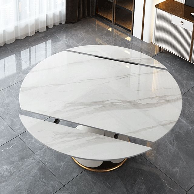 Traditional Luxury Round Dining Table Sintered Stone Table with Pedestal Base Clearhalo ' dining_table' 'Dining Tables & Seating' 'Dining Tables' 'furn' 'furn_dining_table' 'Furniture' 'furniture_dining_table' 'Kitchen & Dining Furniture' 'kitchen&dining_furn' 'kitchen' 'kitchen_dining_table' 1200x1200_b982d96a-7e20-4fdc-865e-fbfb0d39d5a8