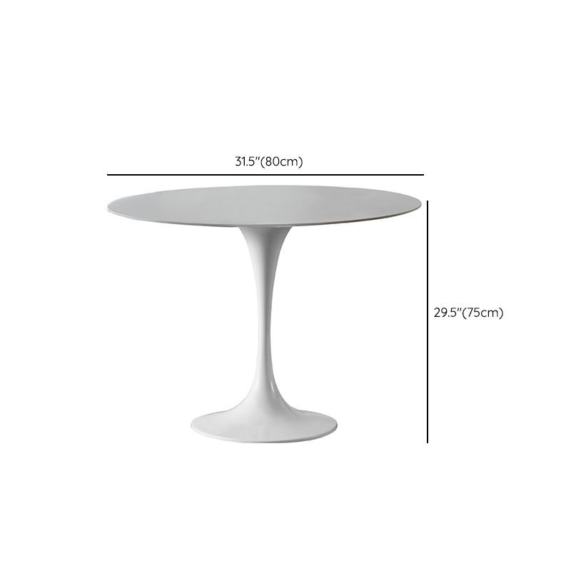 Modern Tulip Pedestal White Dining Table Stone Table for Kitchen Clearhalo 'Dining Tables & Seating' 'Dining Tables' 'dining_table' 'furn' 'furn_dining_table' 'Furniture' 'Kitchen & Dining Furniture' 1200x1200_b9c8fb38-e6f6-4455-ad19-63aa0361e548