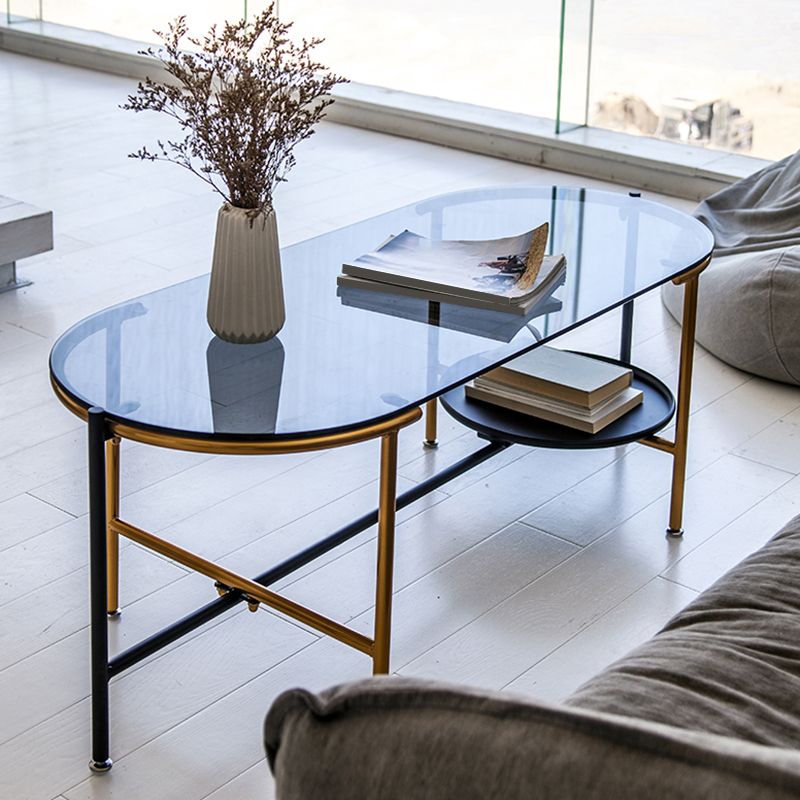 Modernism Elliptical Glass Top Coffee Cocktail Table with Shelf Clearhalo 'Coffee & Accent Tables' 'Coffee Tables' 'coffee_tables' 'furn' 'furn_coffee_tables' 'Furniture' 'Living Room Furniture' 1200x1200_b9ca8d00-c300-42c2-95a0-64001bb3a289
