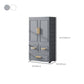 Hinged Wardrobe Cabinet Modern Plastic Storage Cabinet for Home