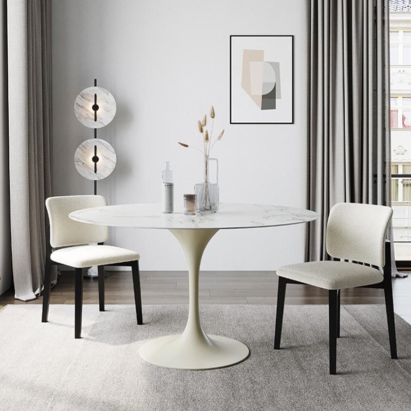 Stone Top Dining Table Modern Round Table with Pedestal Base Clearhalo 'Dining Tables & Seating' 'Dining Tables' 'dining_table' 'furn' 'furn_dining_table' 'Furniture' 'furniture_dining_table' 'Kitchen & Dining Furniture' 'kitchen' 'kitchen_dining_table' 1200x1200_ba60c857-7d57-4749-97db-7c7c510b89c8