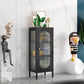 Contemporary Iron Dining Server Glass Doors Living Room Cabinets Clearhalo 'buffet_sideboard' 'Buffets & Sideboards' 'furn' 'furn_buffet_sideboard' 'Furniture' 'furniture_buffet_sideboard' 'Kitchen & Dining Furniture' 1200x1200_ba9b7315-6cfe-4af4-b113-5aaaf568742c