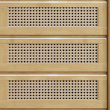 25.6" W Rattan Accent Chest in Rubberwood with Storage Drawers Clearhalo 'Cabinets & Chests' 'cabinets_chests' 'furn' 'furn_cabinets_chests' 'Furniture' 'Living Room Furniture' 1200x1200_bad1e992-b17f-4312-9902-43810e353c12