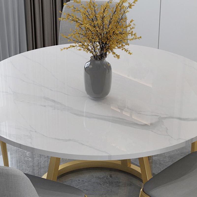 Round Marble Top Dining Table in White Traditional Luxury Dining Table Clearhalo 'Dining Tables & Seating' 'Dining Tables' 'dining_table' 'furn' 'furn_dining_table' 'Furniture' 'furniture_dining_table' 'Kitchen & Dining Furniture' 1200x1200_bae6982e-d9d1-4bdc-9604-4025ed7b2f30