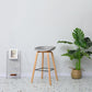 30-inch Modern Beech Wood Barstool Simple Backless Indoor Tall Stool with Plastic Seat Clearhalo 'Bar Furniture' 'Bar Stools' 'bar_stools' 'furn' 'furn_bar_stools' 'Furniture' 'furniture_bar_stools' 'Kitchen & Dining Furniture' 1200x1200_bb1db1dd-e034-4617-a763-1b64c9a4a667