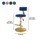 Glam Rotatable Backrest Counter Stool Steel Kitchen Bar Stool with Cushion and Pedal Clearhalo 'Bar Furniture' 'Bar Stools' 'bar_stools' 'furn' 'furn_bar_stools' 'Furniture' 'furniture_bar_stools' 'Kitchen & Dining Furniture' 1200x1200_bb643659-6191-4c5f-97a5-13bdd60ed883