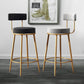 Nordic Armless Backrest Counter Stool Iron Dessert Shop Bar Stool with Cushion and Pedal Clearhalo 'Bar Furniture' 'Bar Stools' 'bar_stools' 'furn' 'furn_bar_stools' 'Furniture' 'furniture_bar_stools' 'Kitchen & Dining Furniture' 1200x1200_bb67544e-42f2-45a2-ace3-f94ef67ac05b