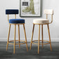 Nordic Armless Backrest Counter Stool Iron Dessert Shop Bar Stool with Cushion and Pedal Clearhalo 'Bar Furniture' 'Bar Stools' 'bar_stools' 'furn' 'furn_bar_stools' 'Furniture' 'furniture_bar_stools' 'Kitchen & Dining Furniture' 1200x1200_bbfe06ce-aa3d-47e2-9d2e-9e0580c16733