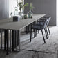 Industrial Sintered Stone Dining Table Rectangle Table with Metal Double Pedestal Clearhalo ' dining_table' 'Dining Tables & Seating' 'Dining Tables' 'furn' 'furn_dining_table' 'Furniture' 'furniture_dining_table' 'Kitchen & Dining Furniture' 'kitchen&dining_furn' 'kitchen' 'kitchen_dining_table' 1200x1200_bbfed6fc-14dd-48e4-9837-b9b84fa53b22