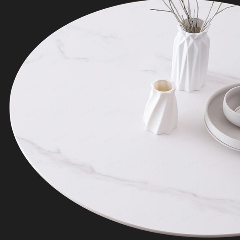 Modern Style Solid Wood Dining Table Brown Round Table with Pedestal Base Clearhalo ' dining_table' 'Dining Tables & Seating' 'Dining Tables' 'furn' 'furn_dining_table' 'Furniture' 'furniture_dining_table' 'Kitchen & Dining Furniture' 'kitchen&dining_furn' 'kitchen' 'kitchen_dining_table' 1200x1200_bc003012-72e2-44e1-8e38-ab2b153b6e46