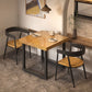 Square Solid Wood Kitchen Table Industrial Dining Table with Metal Double Pedestal Base Clearhalo ' dining_table' 'Dining Tables & Seating' 'Dining Tables' 'furn' 'furn_dining_table' 'Furniture' 'furniture_dining_table' 'Kitchen & Dining Furniture' 'kitchen&dining_furn' 'kitchen' 'kitchen_dining_table' 1200x1200_bc8514e5-3167-49c9-b51c-2ad7978d0c97