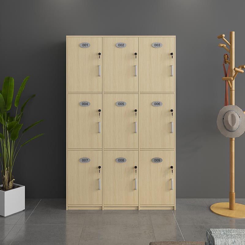 Natural Finish Cabinet with Hinged Door Contemporary Interior Storage Cabinet
